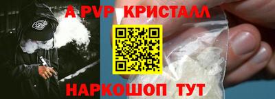 СК Новозыбков