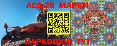СК Новозыбков