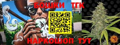 СК Новозыбков