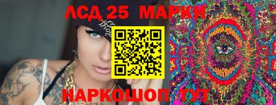 СК Новозыбков