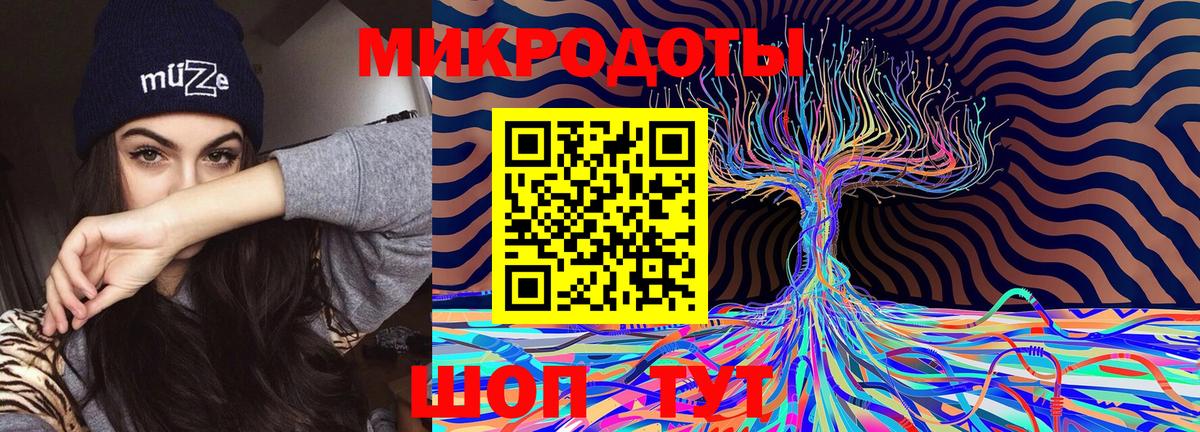 Псилоцибиновые грибы ЛСД Тавда