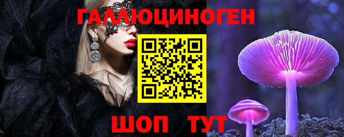 Тавда  Псилоцибиновые грибы ЛСД  Вход с VPN 